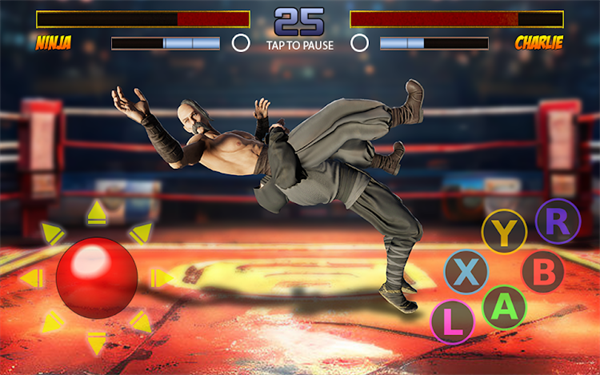 Kung Fu Fighting Karate Strike latest version game图片3